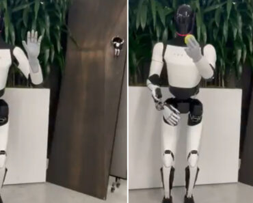 Robô Da Tesla Exibe Nova Habilidade Em Vídeo Partilhado Por Musk