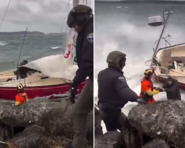 Homem e Cão Ficaram Presos Em Barco No Natal, Mas Final Foi Feliz Homem e Cão Ficaram Presos Em Barco No Natal, Mas Final Foi Feliz