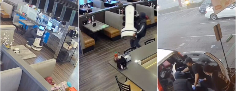 Tentativa De Sequestro De Robô Num Restaurante Termina Em Constrangimento Tentativa De Sequestro De Robô Num Restaurante Termina Em Constrangimento