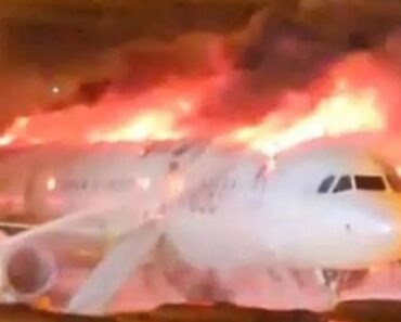 Incêndio Em Avião Na Coreia Do Sul Com 176 Pessoas A Bordo Incêndio Em Avião Na Coreia Do Sul Com 176 Pessoas A Bordo