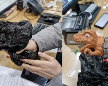 Homem Tentou Assaltar Banco Com Pistola De Água Em Forma De Dinossauro Homem Tentou Assaltar Banco Com Pistola De Água Em Forma De Dinossauro