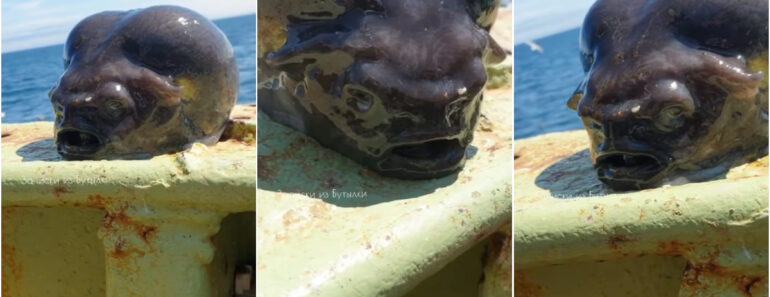 “Peixe Alienígena” De Aparência Fora Do Comum é Filmado Por Pescador Russo “Peixe Alienígena” De Aparência Fora Do Comum é Filmado Por Pescador Russo