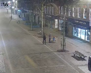 Engenheiros Da Força Aérea Acusados De Roubar Estátua Do Urso Paddington Após Divulgação De Vídeo