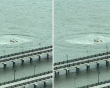 Helicóptero Despenha-se No Rio Hudson, Nova Iorque. Seis Pessoas Morreram