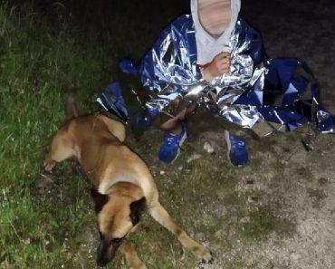 Cadela Da GNR Ajudou a Encontrar Criança Desaparecida Na Chamusca