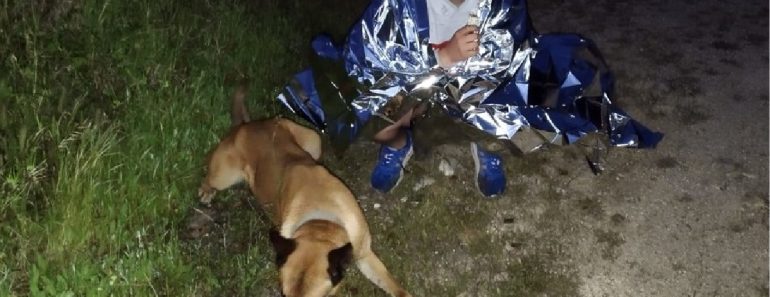 Cadela Da GNR Ajudou a Encontrar Criança Desaparecida Na Chamusca Cadela Da GNR Ajudou a Encontrar Criança Desaparecida Na Chamusca