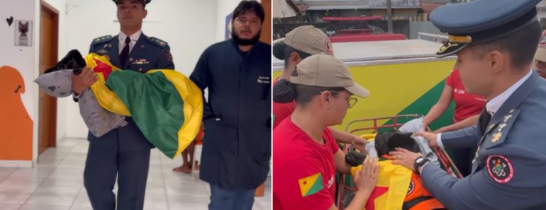 Bombeiros Despedem-se De Heroína De Quatro Patas Em Momento Emotivo Bombeiros Despedem-se De Heroína De Quatro Patas Em Momento Emotivo