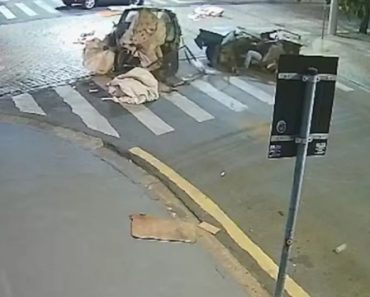 Carro Partiu-se Ao Meio Em Colisão… Mas Condutor Continuou a Conduzir Carro Partiu-se Ao Meio Em Colisão… Mas Condutor Continuou a Conduzir