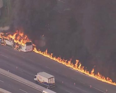Autocarro Incendeia-se e Deixa Coluna De Fogo Em Estrada De São Paulo Autocarro Incendeia-se e Deixa Coluna De Fogo Em Estrada De São Paulo