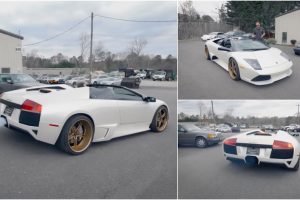 Lamborghini a Preço Irresistível… Mas Só Foi Bom Negócio Até o Motor Arrancar