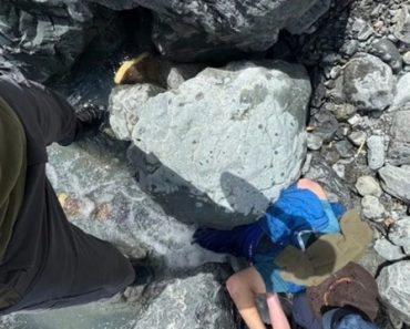 Pedra De 300 Kg Cai Em Cima De Homem Durante Caminhada No Alasca Pedra De 300 Kg Cai Em Cima De Homem Durante Caminhada No Alasca