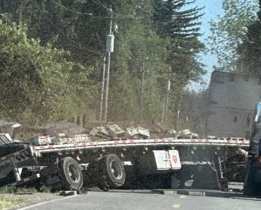 Camião Despista-se e Deixa 250 Milhões De Abelhas à Solta Camião Despista-se e Deixa 250 Milhões De Abelhas à Solta