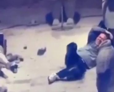 Turista Salta Para Exposição “Exército De Terracota” e Destrói Estátuas Turista Salta Para Exposição “Exército De Terracota” e Destrói Estátuas