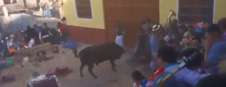 Touro Foge Em Celebração Religiosa No Peru e Gera Pânico. Há 30 Feridos Touro Foge Em Celebração Religiosa No Peru e Gera Pânico. Há 30 Feridos