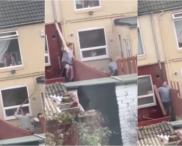 Vizinhos Com “Boa” Relação Decidem Brincar à “Batalha Das Tábuas” Vizinhos Com “Boa” Relação Decidem Brincar à “Batalha Das Tábuas”