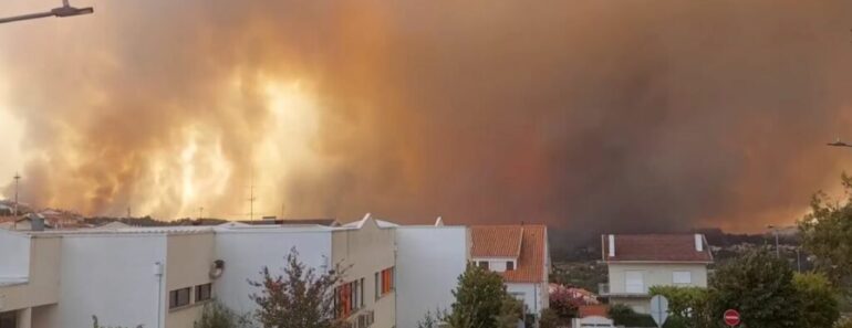 Fogo Em Seia Começou Numa Desavença Entre Vizinhos. Suspeito Já Foi Detido Pela GNR Fogo Em Seia Começou Numa Desavença Entre Vizinhos. Suspeito Já Foi Detido Pela GNR