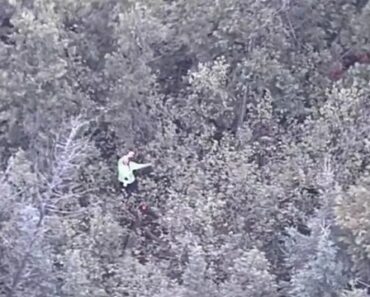 Mulher Perde-se Em Floresta Do Michigan Em Desafio De Sobrevivência Para o YouTube Mulher Perde-se Em Floresta Do Michigan Em Desafio De Sobrevivência Para o YouTube