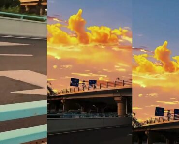 Quando Olhas Para o Céu e Pedes Pela Milésima Vez Que Te Saia o Euromilhões Quando Olhas Para o Céu e Pedes Pela Milésima Vez Que Te Saia o Euromilhões