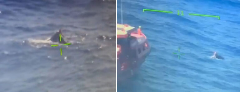 Jovem Esteve Três Dias Numa Mota De Água à Deriva No Mar Jovem Esteve Três Dias Numa Mota De Água à Deriva No Mar