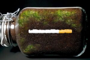 Time-Lapse Hipnótico Mostra o Que Acontece Com Os Cigarros No Solo Por Um Ano