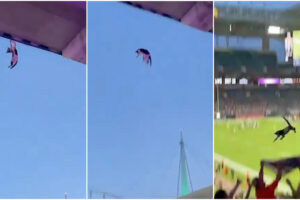 Adeptos Conseguiram Salvar Gato Que Caiu Do Topo De Um Estádio
