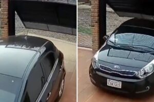 Quando Não Tens Paciência Suficiente Para Deixar o Portão Da Casa Abrir Totalmente