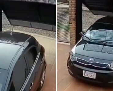 Quando Não Tens Paciência Suficiente Para Deixar o Portão Da Casa Abrir Totalmente Quando Não Tens Paciência Suficiente Para Deixar o Portão Da Casa Abrir Totalmente