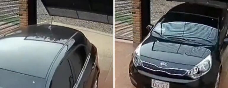Quando Não Tens Paciência Suficiente Para Deixar o Portão Da Casa Abrir Totalmente Quando Não Tens Paciência Suficiente Para Deixar o Portão Da Casa Abrir Totalmente
