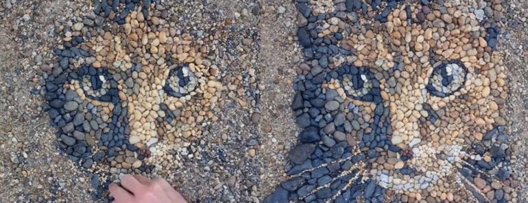 Artista Cria Retrato De Gato Apenas Com Pedrinhas Encontradas No Chão Artista Cria Retrato De Gato Apenas Com Pedrinhas Encontradas No Chão