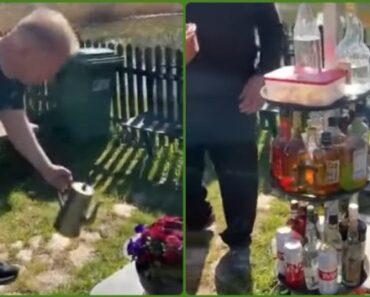 Colocou Um Canteiro De Flores No Jardim Que é o Sonho De Qualquer Homem