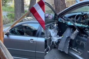 Urso Tranca-se No Interior De Carro e Deixa-o Neste Estado