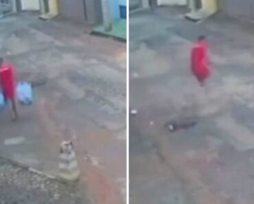 Foi Levar o Lixo e Aproveitou Para Fugir Da Prisão No Brasil Foi Levar o Lixo e Aproveitou Para Fugir Da Prisão No Brasil