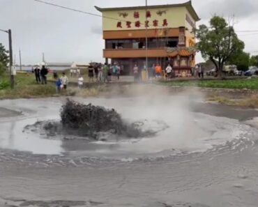 Vulcão De Lama “Entra Em Erupção” Em Taiwan. Assista Ao Fenómeno Raro Vulcão De Lama “Entra Em Erupção” Em Taiwan. Assista Ao Fenómeno Raro