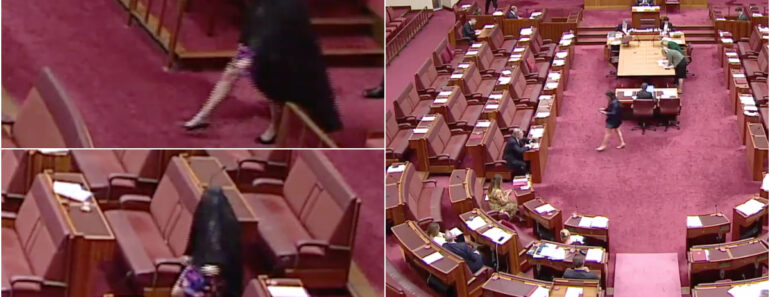 Senadora Suspensa Após Protesto Com Burca No Parlamento Australiano Senadora Suspensa Após Protesto Com Burca No Parlamento Australiano