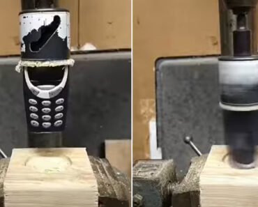 Usam Nokia 3310 Para Furar Madeira e o Resultado Surpreende Usam Nokia 3310 Para Furar Madeira e o Resultado Surpreende