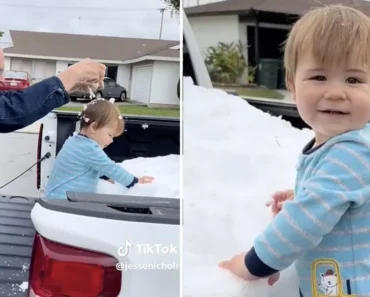 Menino De 1 Ano é Surpreendido Pelos Bisavós Que Fizeram Viagem De 160 Km Com Neve No Carro Para Ele Ver Menino De 1 Ano é Surpreendido Pelos Bisavós Que Fizeram Viagem De 160 Km Com Neve No Carro Para Ele Ver