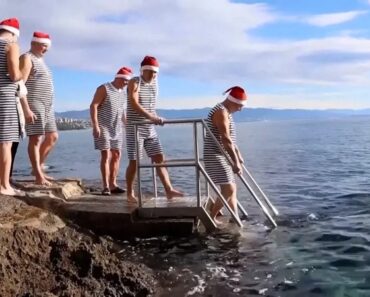 Nadadores De Inverno Enfrentam o Mar Adriático Há Mais De 20 Anos Nadadores De Inverno Enfrentam o Mar Adriático Há Mais De 20 Anos