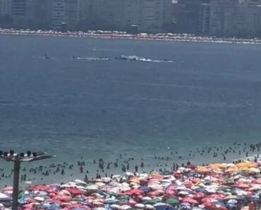 Aeronave De Pequeno Porte Cai Ao Mar Em Copacabana Aeronave De Pequeno Porte Cai Ao Mar Em Copacabana