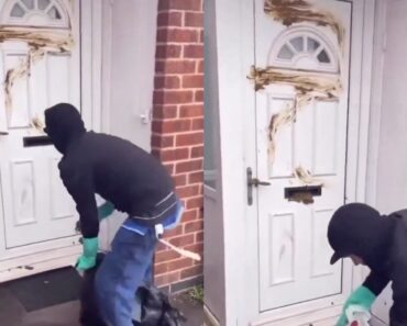 Homem Em Fúria Vinga-se De Vizinho Que Não Recolhia Fezes Do Seu Cão Homem Em Fúria Vinga-se De Vizinho Que Não Recolhia Fezes Do Seu Cão