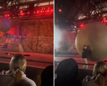 “Salvou-Nos”. Funcionário Da Disney Ferido Após Parar Adereço De 180Kg “Salvou-Nos”. Funcionário Da Disney Ferido Após Parar Adereço De 180Kg