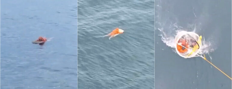 Pescador Sobrevive 18 Horas à Deriva Agarrado a Uma Porta De Arca Frigorífica Pescador Sobrevive 18 Horas à Deriva Agarrado a Uma Porta De Arca Frigorífica