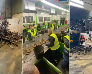 PSP Destrói Quase 7 Mil Armas Na Maia No Dia Da Não Violência e Cultura Da Paz PSP Destrói Quase 7 Mil Armas Na Maia No Dia Da Não Violência e Cultura Da Paz