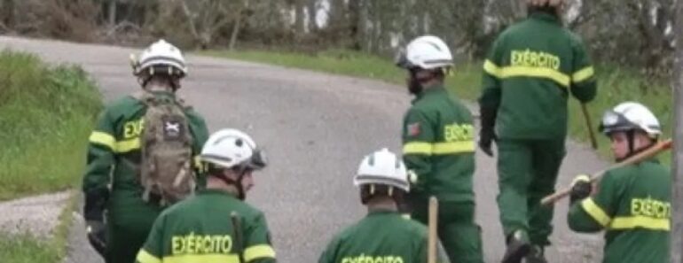 “No Terreno, Onde é Preciso.” Exército Em Freiria Após Kristin “No Terreno, Onde é Preciso.” Exército Em Freiria Após Kristin