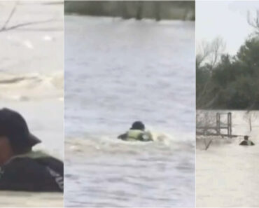 Empresário Desafia Cheias Em Cádiz e Nada Contra a Corrente Para Chegar Ao Seu Negócio Empresário Desafia Cheias Em Cádiz e Nada Contra a Corrente Para Chegar Ao Seu Negócio