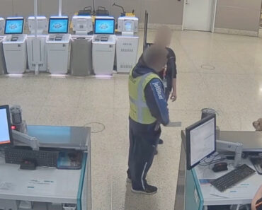 Mulher Abandona Cão No Aeroporto De Las Vegas Para Não Perder Voo e Acaba Detida Mulher Abandona Cão No Aeroporto De Las Vegas Para Não Perder Voo e Acaba Detida