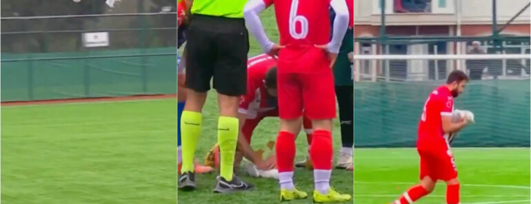 Jogador Salva Gaivota Após Bolada Em Campo Com Manobras De Reanimação Cardiorrespiratória Jogador Salva Gaivota Após Bolada Em Campo Com Manobras De Reanimação Cardiorrespiratória