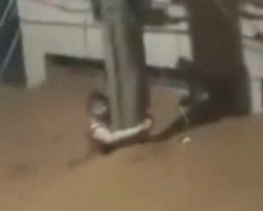 Mulher Sobrevive Após 3h Agarrada a Um Poste Durante Enchentes No Brasil Mulher Sobrevive Após 3h Agarrada a Um Poste Durante Enchentes No Brasil