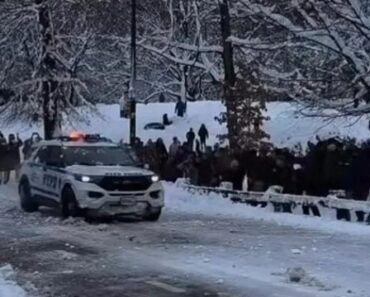 Criador De Conteúdos Detido Após Guerra De Bolas De Neve Contra a Polícia Criador De Conteúdos Detido Após Guerra De Bolas De Neve Contra a Polícia
