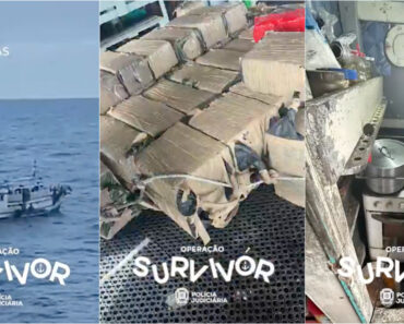 PJ, Marinha e Força Aérea Apreendem Barco Com 1800 Kg De Droga Nos Açores PJ, Marinha e Força Aérea Apreendem Barco Com 1800 Kg De Droga Nos Açores