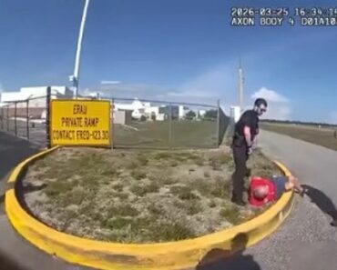 Homem Invade Pista De Aeroporto De Carro e Tenta Entrar Em Dois Aviões Homem Invade Pista De Aeroporto De Carro e Tenta Entrar Em Dois Aviões